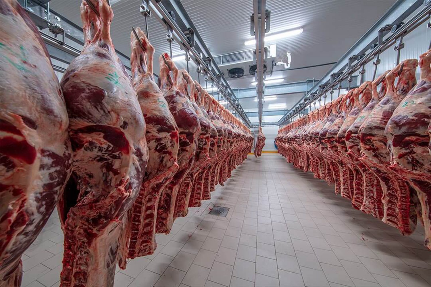 Meat Cold Room