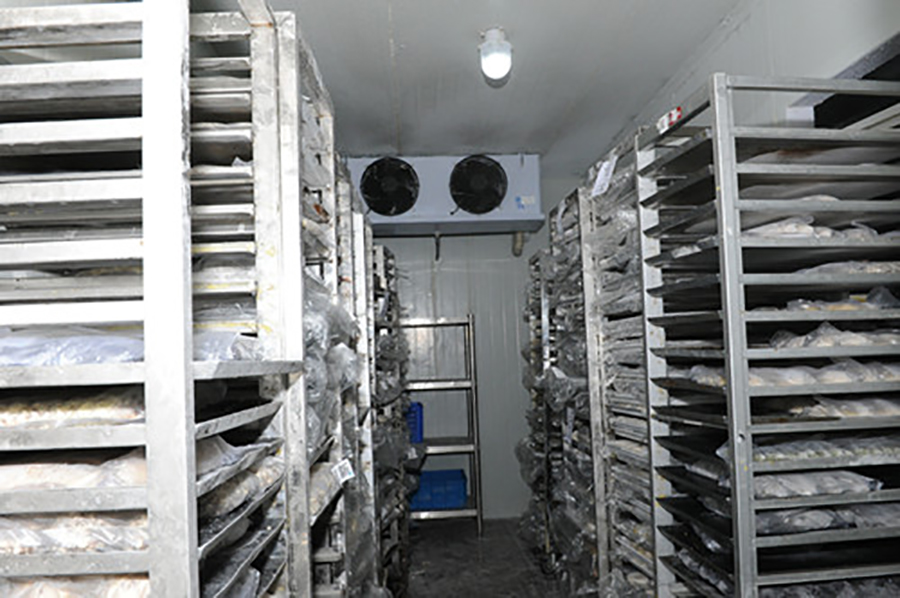 seafood cold room