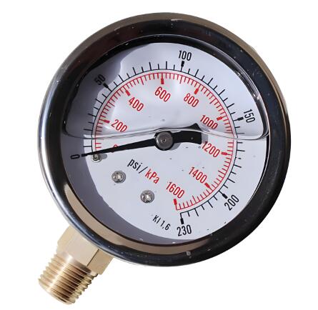 Pressure Gauge